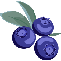 blueberry