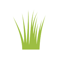 grass