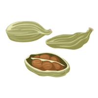 cardamom