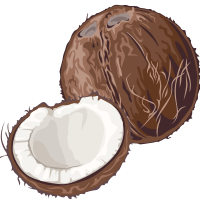 coconut