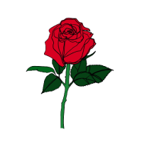 rose