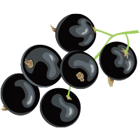 blackcurrants