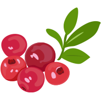 cranberry