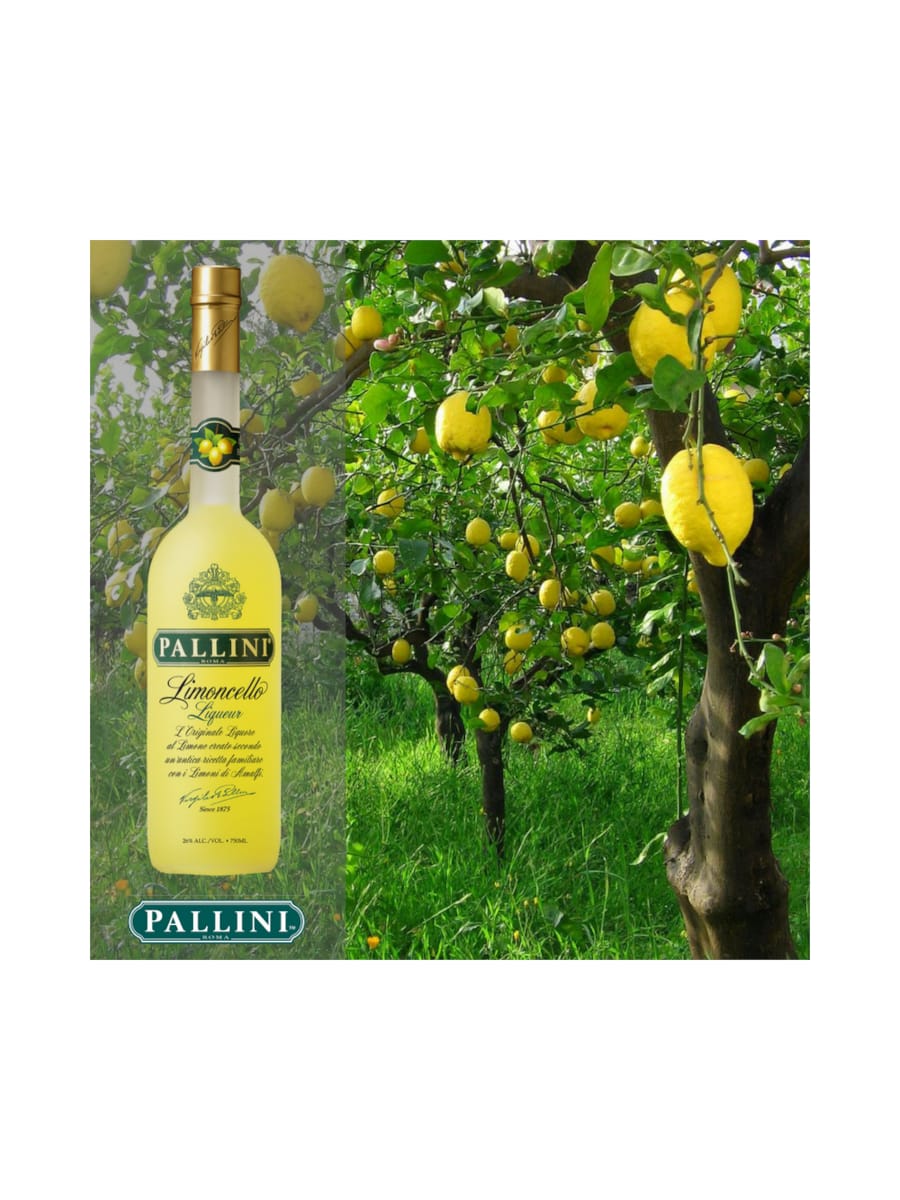 Pallini Limoncello 50 CL & 26% Vin Rasch - Spiritus