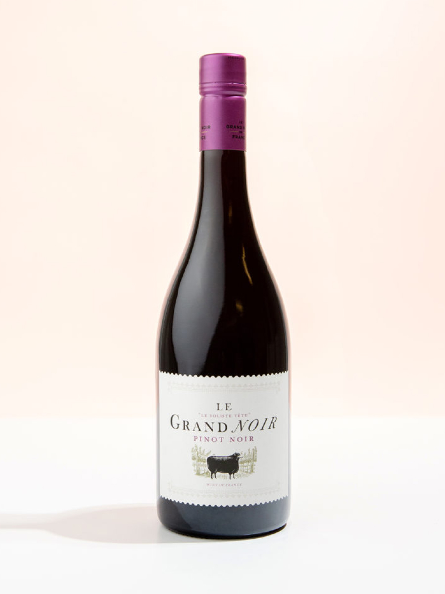 Le Grand Noir - Pinot Noir 75 CL - Rasch Vin & Spiritus