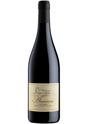 Pagus Pisano Amarone della Valpolicella 2016 75 cl.