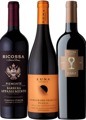 Italienska Vardagsfavoriter – Vinpaket 3x75 cl. (1x Critèra Primitivo + 1x Luna Argenta Negroamaro + 1x Ricossa Appassimento)