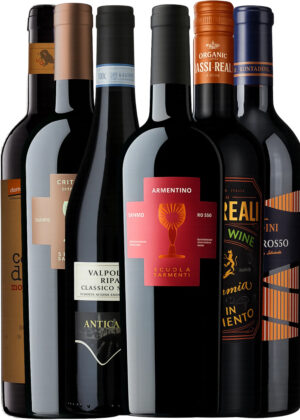 Italienske Hverdagsfavoritter - Vinpakke 6x75 cl. (1x Critèra + 1x Armentino + 1x Passi Reali Rosso + 1x Antica Corte Ripasso + 1x Coste Di Moro + 1x Bontadini Toscana Rosso)
