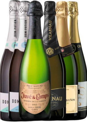 CAVA Favoritter – Vinpakke 6x75 cl. (1x Pequeños Brut (ECO), 1x Vilarnau Reserva, 1x Potier Demi-Sec, 1x Camps Gran Reserva, 1x Berberana Semi-Seco, 1x Potier Brut)