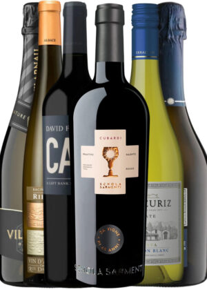 Fredag Uden Bremser – Vinpakke 6x75 cl. (1x Althea Superiore, 1x Vilarnau Reserva, 1x Errazuriz Blanc, 1x Racines Riesling, 1x Cubardi, 1x David Finlayson Cab et al.)