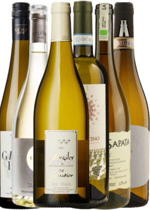 Europas Skjulte Hvidvinsfund - Vinpakke 6x75 cl. (1x Verdicchio Castelli di Jesi, 1x Greco Riserva, 1x Argilex Sec, 1x Sapata Aligotè, 1x Veltliner Hoher Rain, 1x Capellanes Godello)