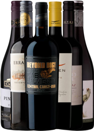 Nye Verdens Rødvinsfund – Vinpakke 6x75 cl. (1x BEYOND BIG Cab.Sav, 1x Crystal Bay Noir, 1x Kaiken Malbec, 1x Secretary Merlot, 1x Errazuriz Carmenère, 1x McPeterson Shiraz)