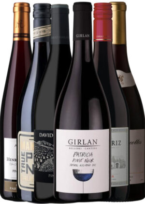 Pinot Noir Hverdagsfavoritter - Vinpakke 6x75 cl. (1x True Pinot Noir, 1x David Pinot Noir, 1x Mougeottes Pinot, 1x Ehrhart Pinot, 1x Errazuriz Reserve Pinot, 1x Girlan Pinot Noir)