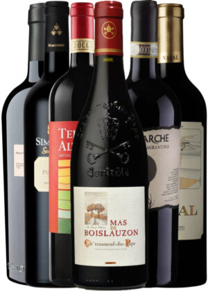 Rasch Vin Anbefaler: Rødvinsfavoritter – Vinpakke 6x75 cl. (1x Boislauzon Châteauneuf, 1x Nabal Crianza, 1x Redhill Pinotage, 1x Chiavennasca Riserva, 1x Sagrantino APOCA, 1x Cubardi Primitivo)