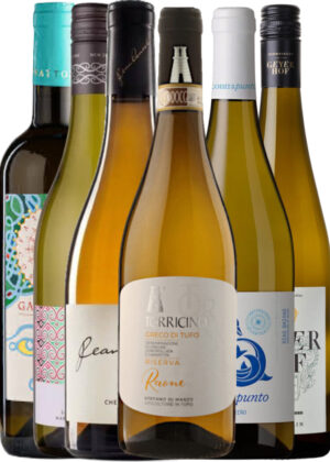 Rasch Vin Anbefaler: Hvidvinsfavoritter - Vinpakke 6x75 cl. (1x Jean Daneel Chenin, 1x Verdicchio Gaiospino, 1x Geyerhof Veltiner, 1x Maui, 1x Contrapunto Albariño, 1x Greco Di Tufo Riserva)