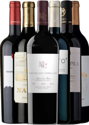 Ribera del Duero – Spaniens Mørke Juvel – Vinpakke 6x75 cl. (1x Pinadillo Crianza, 1x Nabal Crianza, 1x Aalto, 1x, Áster, 1x Capellanes Crianza, 1x Valdepila Milénico)