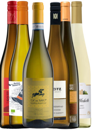 Riesling - Vinpakke 6x75 cl. (1x Langhe Riesling + 1x Keine Hexerei + 1x Chateau Ste. Michelle – Dry Riesling 1x Leitz Dragonstone + 1x Racines & Terroirs – Riesling + 1x Leitz – Riesling Kabinet)