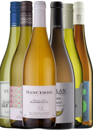 Sauvignon Blanc - Vinpakke 6x75 cl. (1x Maui, 1x Leitz, 1x Errazuriz Reserva, 1x Périgord, 1x Girlan Indra, 1x Raimbault Sancerre)