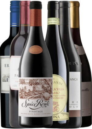 Sommerens Udvalgte Rødvine – Vinpakke 6x75 cl. (1x Errazuriz Merlot, 1x Langhe Nebbiolo, 1x Pegrandi Ripasso, 1x Spice Route Pinotage, 1x Panamera Cab-Sav, 1x Mougeottes Pinot)