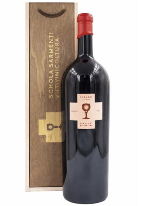 Schola Sarmenti - Cubardi Primitivo D.Magnum 2023 300 cl.