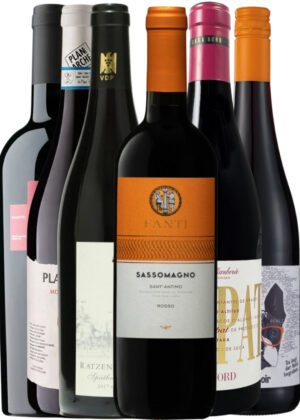 Europas Skjulte Rødvinsfund – Vinpakke 6x75 cl. (1x Der Hund Pinot, 1x Montefalco Rosso, 1x Ratzenberger Spätburgunder, 1x Sarmenti Armentino, 1x FANTI Sassomagno, 1x Trepat Tinto)